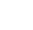 wheelchair icon